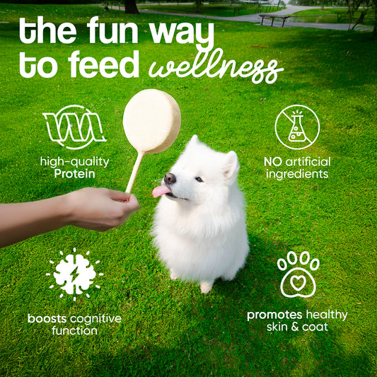 Lickity Pawp — Freeze-Dried Lollipop Treat for Cats & Dogs